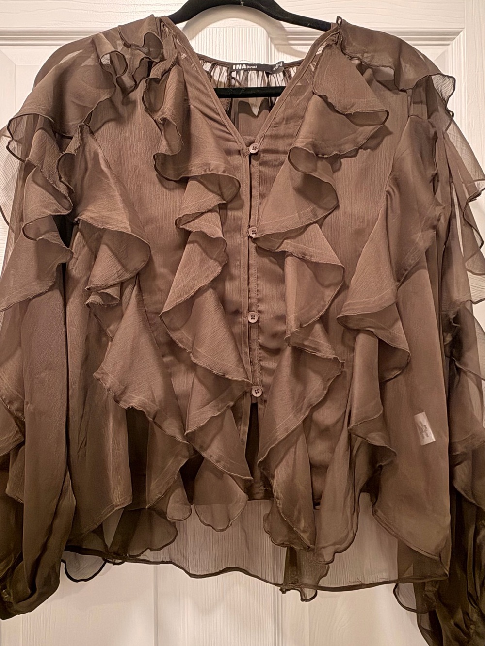 Ina Sheer Ruffle-Front Button Blouse - Brown - Picture 2 of 5